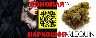 mdma Аргун