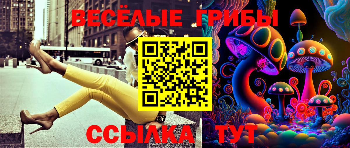Псилоцибиновые грибы Psilocybine cubensis Бор